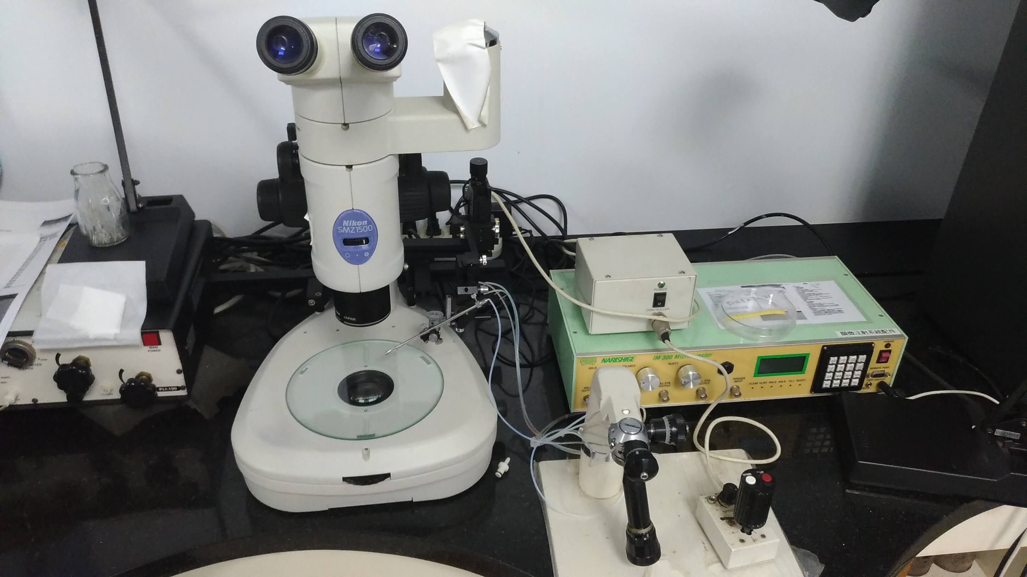 microinjection