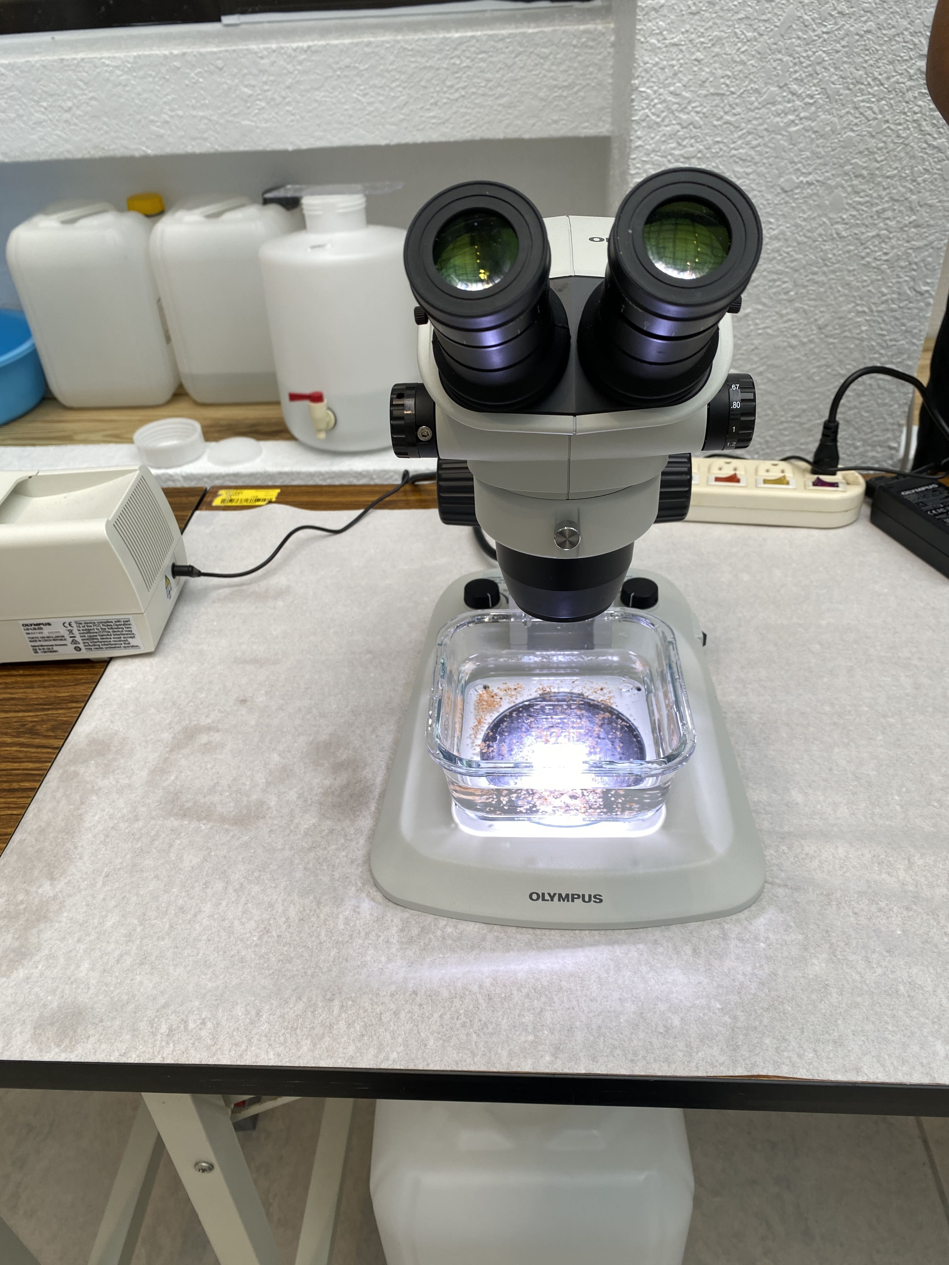 microscope