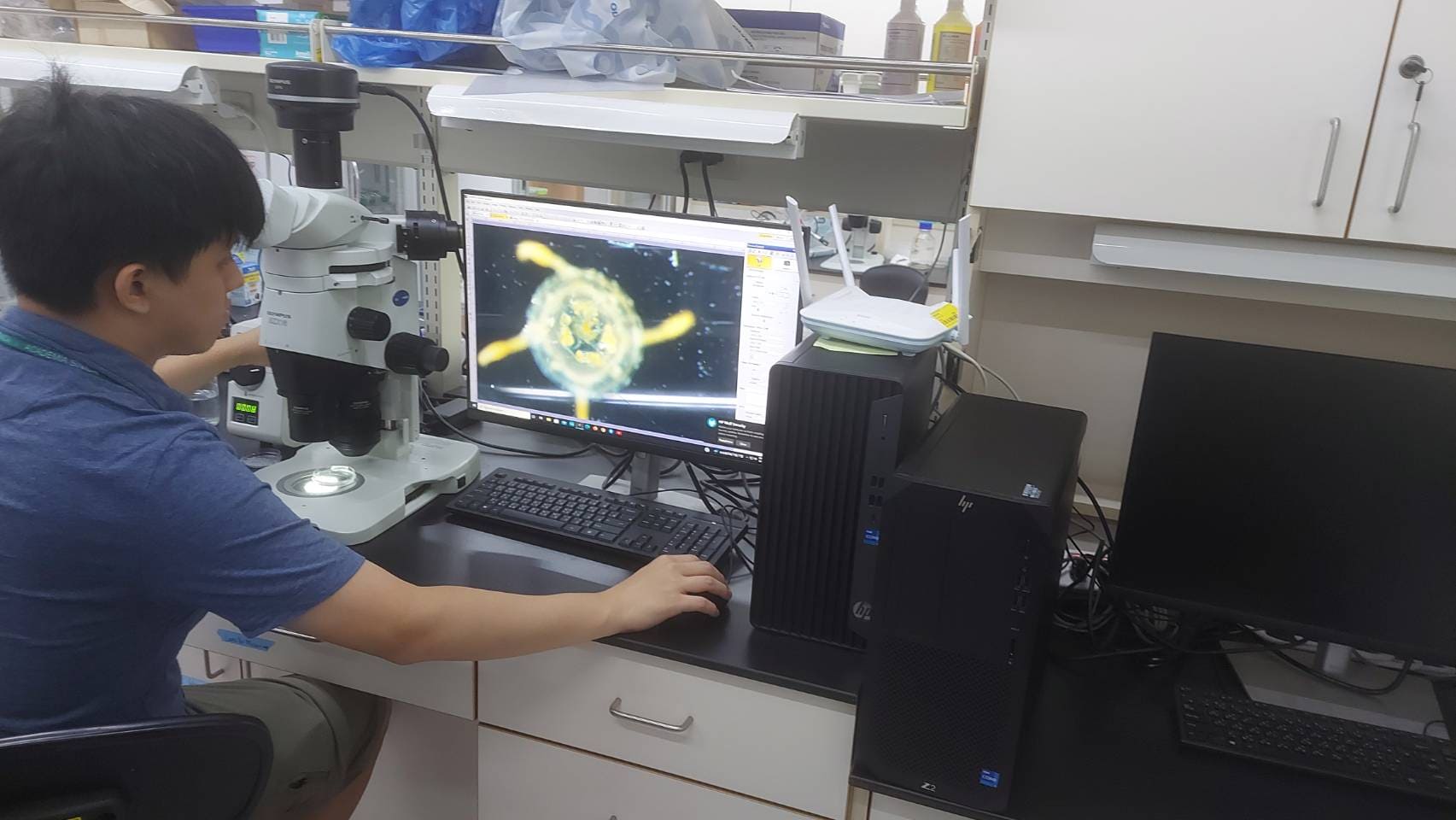 microscope