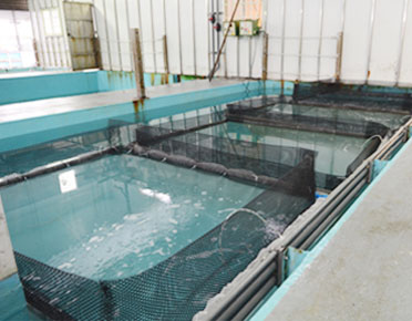 wet_lab_facility